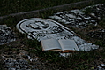 [Picture: Open poetry book on old grave]