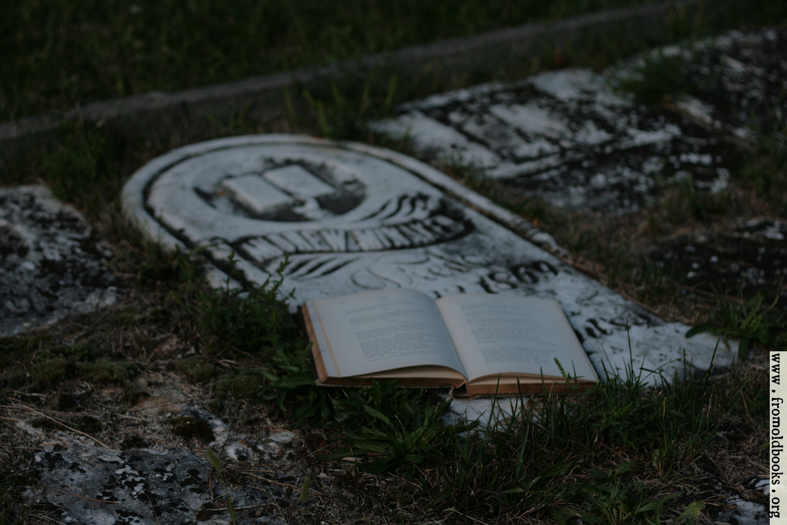 [Picture: Open poetry book on old grave]