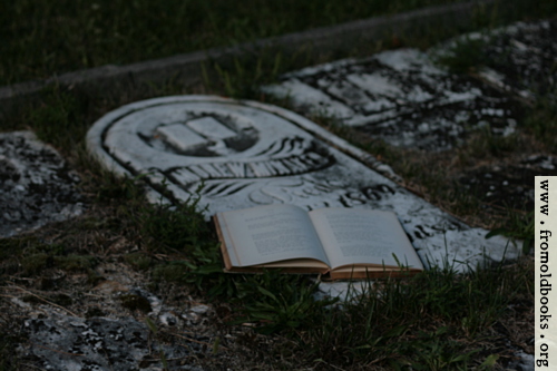 [Picture: Open poetry book on old grave]