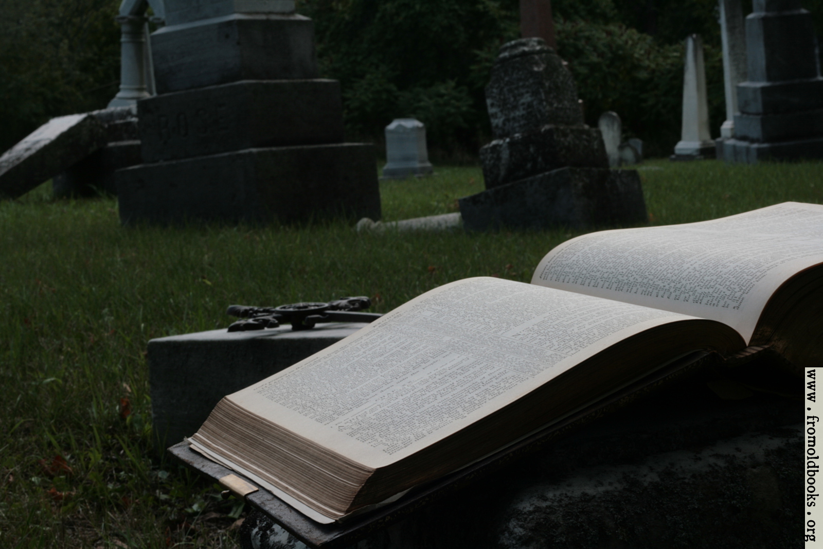 [Picture: Open Bible and cross in graveyard]
