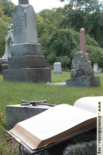 [Picture: Open Bible and cross in graveyard (portrait version)]