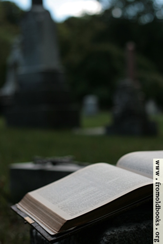 [Picture: Open Bible and cross in graveyard]