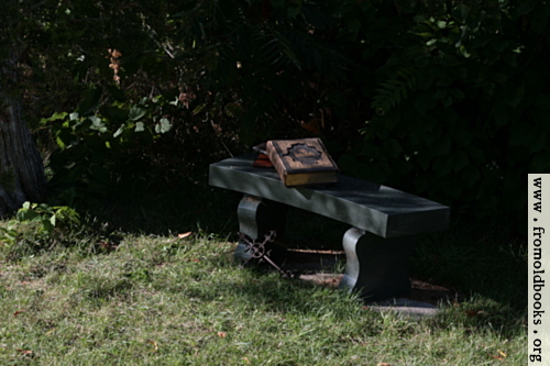 [Picture: Stone bench with books 3]