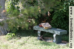 Stone bench under a tree with Bible, books and cross