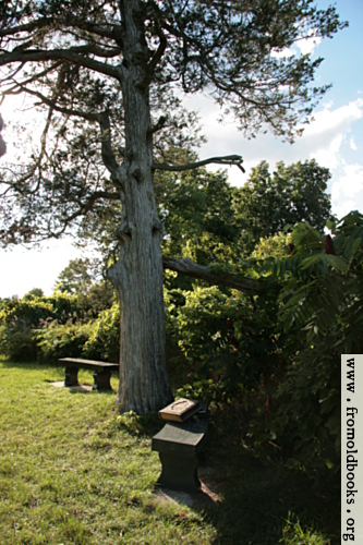 [Picture: Tree with benches and book]