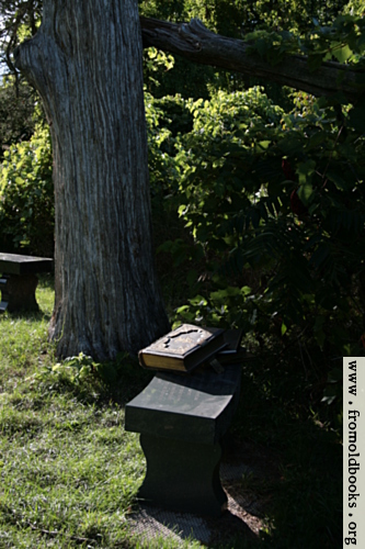 [Picture: Tree with benches and Bible]