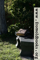 Bible and cross on bench under tree