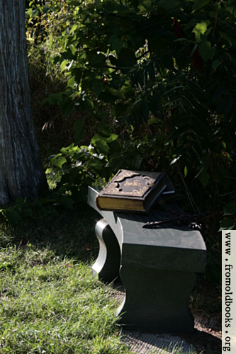 [Picture: Bible and cross on bench under tree]