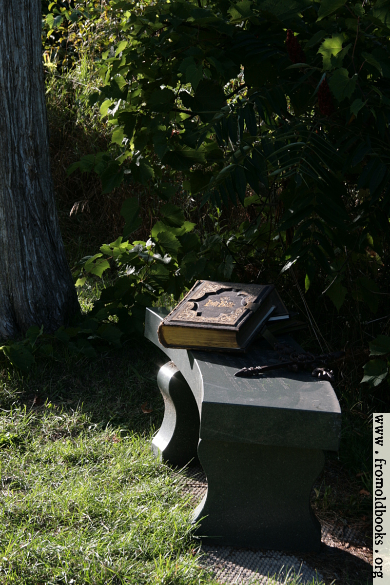 [Picture: Bible and cross on bench under tree]