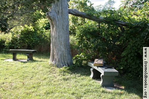 [Picture: Two benches under an old tree with a Bible]