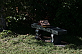 Stone bench with books 3