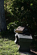 Bible and cross on bench under tree