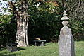 Tombstone with benches under tree