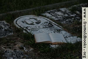 [picture: Open poetry book on old grave]
