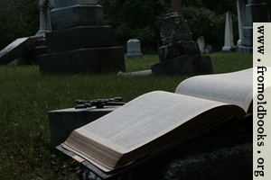 [picture: Open Bible and cross in graveyard]