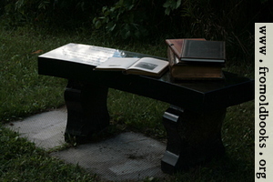 [picture: Stone bench with books 2]