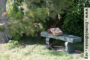 [picture: Stone bench under a tree with Bible, books and cross]