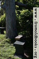 [picture: Tree with benches and Bible]