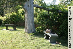 [picture: Two benches under an old tree with a Bible]