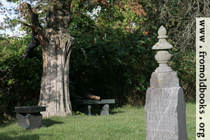[picture: Tombstone with benches under tree]