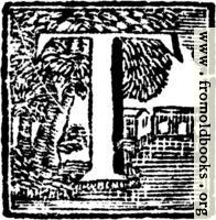 [picture: Initial Letter T Woodcut]
