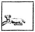 [Picture: Aries (the Ram, or Sheep)]