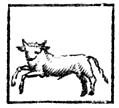 [Picture: Taurus (the Bull)]