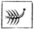 [Picture: Scorpio (the Scorpion)]