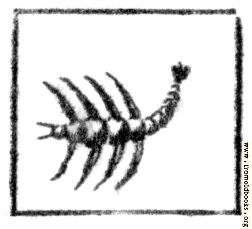 [Picture: Scorpio (the Scorpion)]