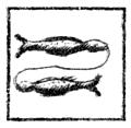 [Picture: Pisces (the fish, or two fishes)]