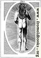 A View of Man in his Primeval State as invested With power by his Creator to rule & Govern gross Elements (Fig. 2 of 2)
