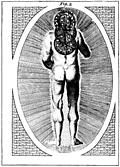 A View of Man in his Primeval State as invested With power by his Creator to rule &Govern gross Elements (Fig. 2 of 2)