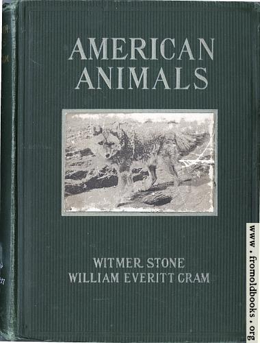 [Picture: Front Cover, American Animals]
