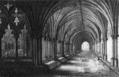 Plate XXV. The Cloisters, Norwich Cathedral.