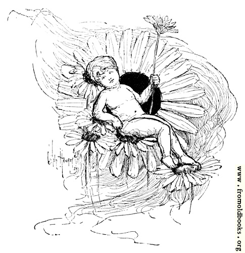 [Picture: Boy Fairy Resting on a Flower]