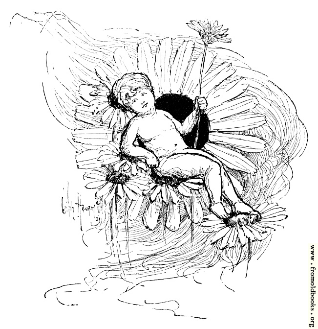 [Picture: Boy Fairy Resting on a Flower]