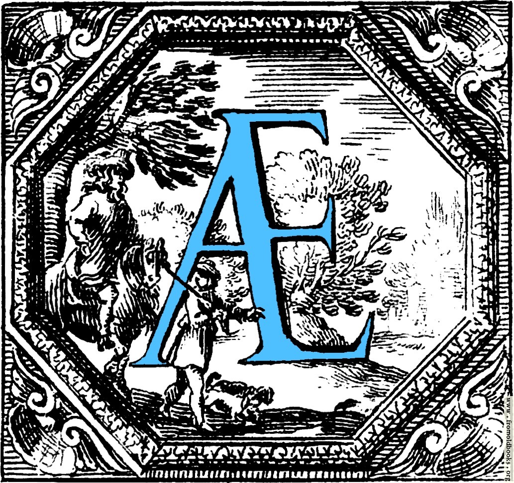 [Picture: Historiated decorative initial capital letter AE in Blue]