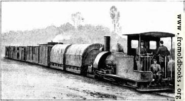 [picture: Darjeeling Railway 1]