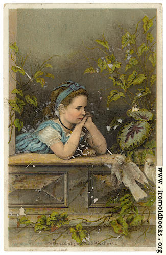 [Picture: Girl in the window: Atlantic and Pascific Tea Company 1880s Trade Card]