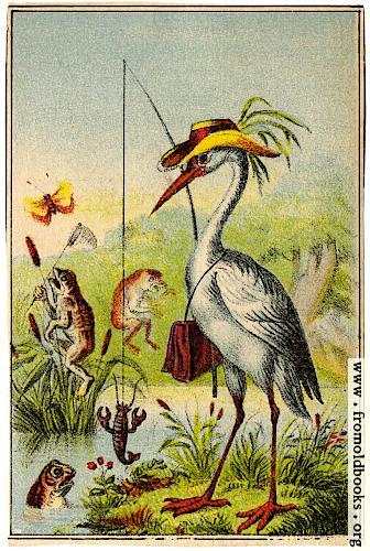 [Picture: Bird fishing]