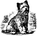 [Picture: stock block: Terrier woodcut]