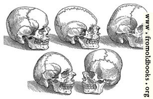 18. Five Skulls