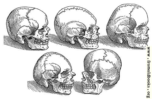 [Picture: 18. Five Skulls]