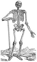 [Picture: 163. Skeleton with Shovel]