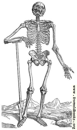 [Picture: 163. Skeleton with Shovel]