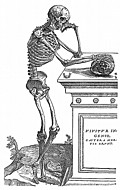 [Picture: 164. Skeleton with Skull]