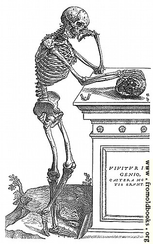 [Picture: 164. Skeleton with Skull]