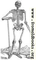 [picture: 163. Skeleton with Shovel]