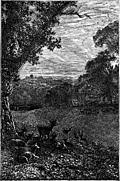 [Picture: Frontispiece: View Near Selborne]