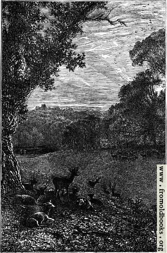 [Picture: Frontispiece: View Near Selborne]